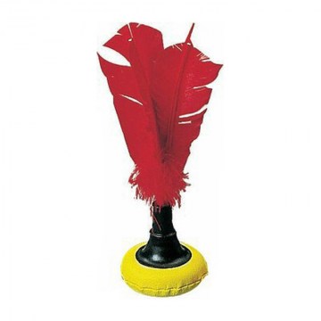 Indiaca_4eb46636d275f.jpg